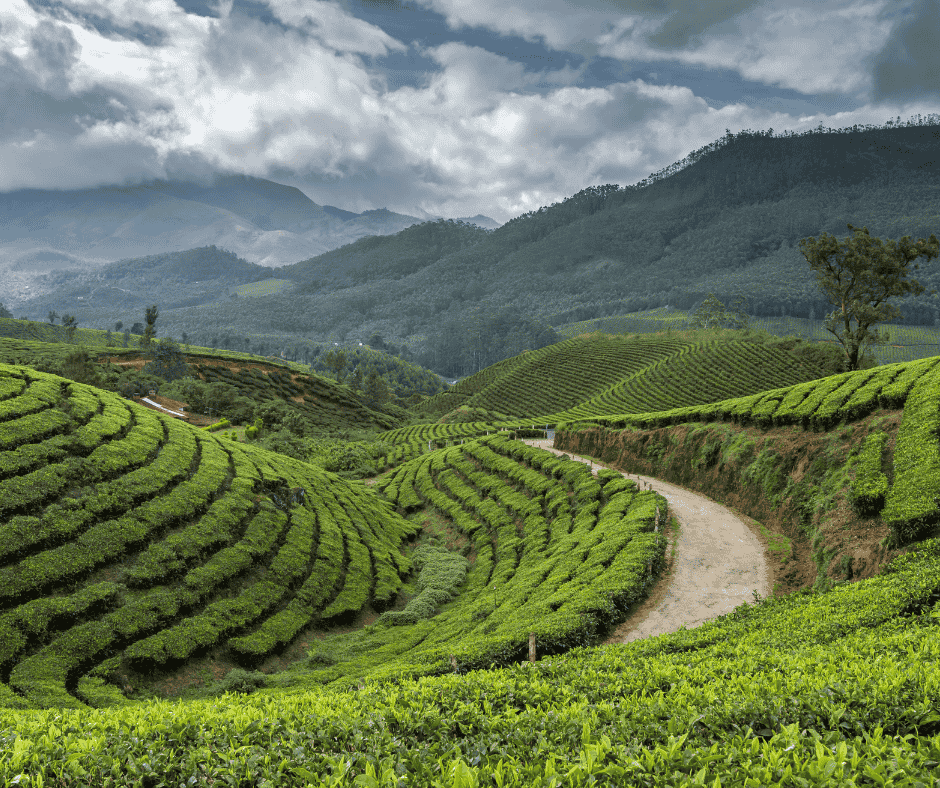 Kerala